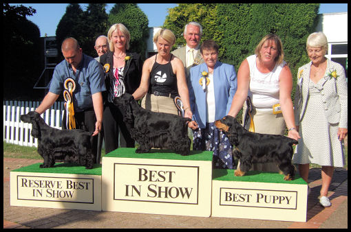 Best In Show 2006