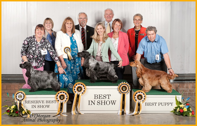 BIS Championship Show 2021 copyright T Morgan Animal Photography