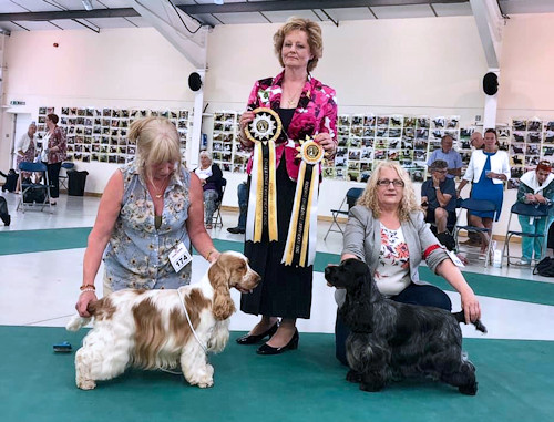 DCC & RDCC Ch Show 2019